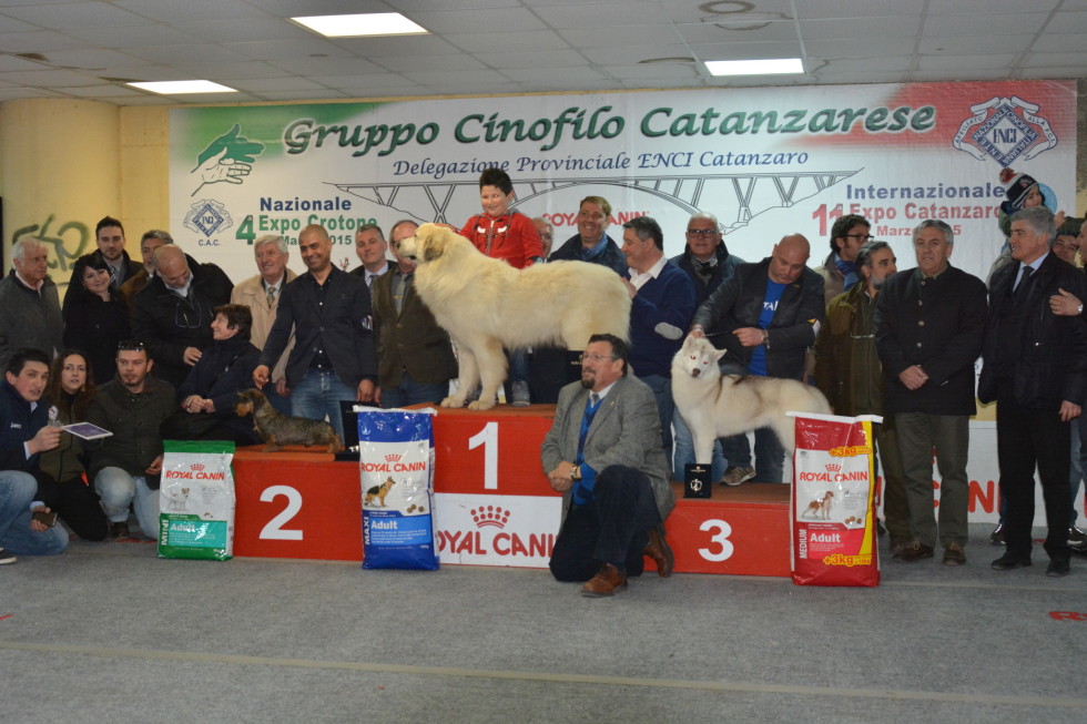 Manifestazione Canina 21 22 marzo 2015 Cz