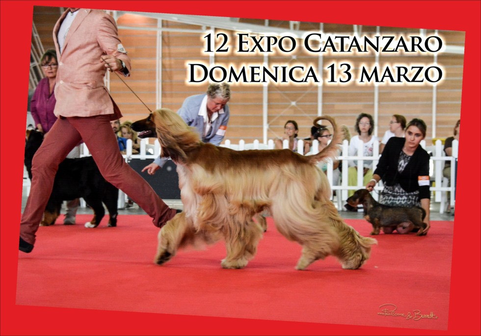 12 Expo Catanzaro Domenica 13 marzo 2016