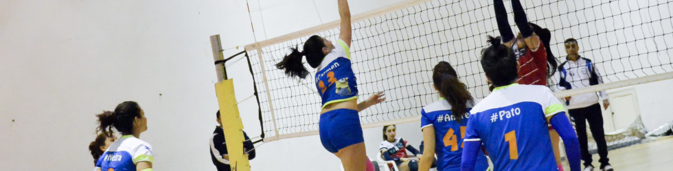 Costa Volley